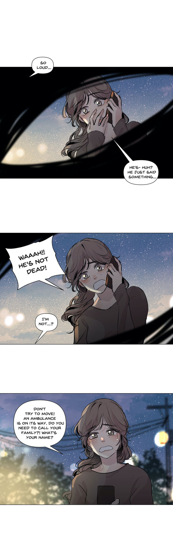 Ellin's Solhwa - Chapter 39.5 Page 10