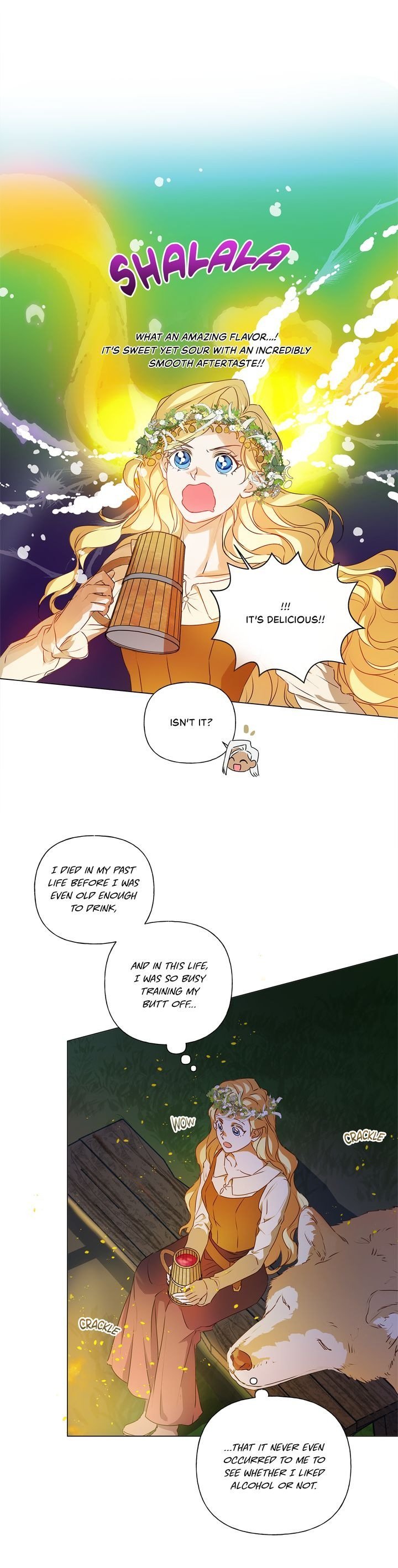The Golden Haired Elementalist - Chapter 55 Page 21