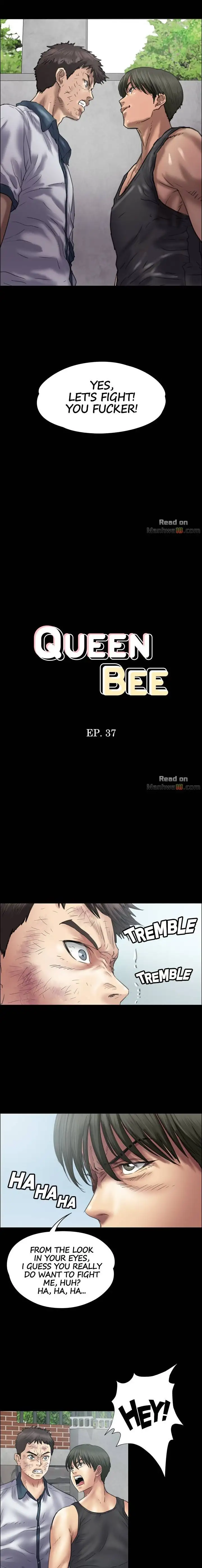 Queen Bee Chapter 37